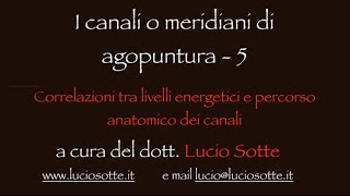 I canali o meridiani di agopuntura 5 Livelli energetici e percorso anatomico dei canali [upl. by Watters]