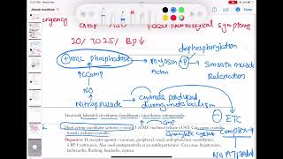 nitroprusside vasodilator pharmacology cardiology 123  First Aid USMLE Step 1 in UrduHindi [upl. by Aikcir440]