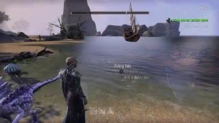 Eso Enchanting Alchemy and Provisioning guide [upl. by Nnalyrehc]