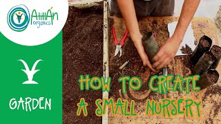 How To Create A Small Nursery And Plant Propagation Station [upl. by Gowrie]