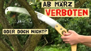 Das ist ab März im Garten verboten  warum es nicht komplett verboten ist die Hecke zu schneiden [upl. by Camilla]