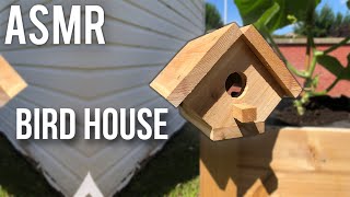 Cedar Wood Bird House made with Scrap Wood  Woodworking ASMR [upl. by Waxler538]