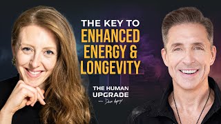 Good Energy Transformative Metabolic Health Tips with Dr Casey Means  1167  Dave Asprey [upl. by Dlaner]