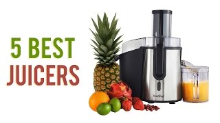 5 Best Juicers  Top Juicer Reviews UPDATED [upl. by Joed673]