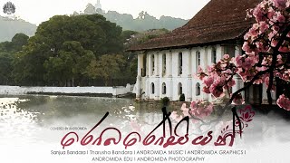 Robarosiyan රොබරෝසියන් Cover By ANDROMIDA MUSIC [upl. by Gaither]