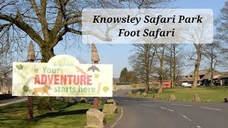 A Trip To Knowsley Safari Park Zoo Prescot Liverpool 2022 Foot Safari Animal amp Park Footage [upl. by Marna937]