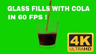 Glass fills with Cola  Green Screen  Free Download  4K 60 FPS [upl. by Mojgan24]