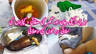 Meri Masoom si Jan aur Ghar k itne Kam  Housewife k Kam khatam hi Nhi hote  Abida Saleem Vlogs [upl. by Dnyletak]