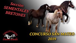 🏆🐎Concurso CABALLOS BRETONES 2019 [upl. by Doraj707]