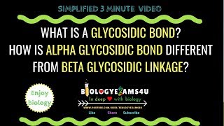 What is a Glycosidic bond Difference between alpha and beta Glycosidic linkage [upl. by Anairotciv]