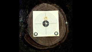 BSA R10 MK2 Shooting target [upl. by Faden372]