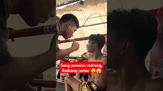 fix penerus rodtang sang rodtang junior 😯😍😮 boxing boxingskill fight mma bangghalyh [upl. by Leiram]