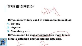 Diffusion Simple diffusion  facilitated diffusion Science Fact File  Matter as Particles [upl. by Chad765]