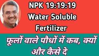 How to use water soluble NPK 19 19 19 for flowering plants [upl. by Auhsaj7]