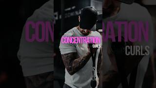 HOW TO DO CONCENTRATION CURLS [upl. by Nahpos]