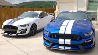 Shelby GT350 vs Shelby GT500  Which One Is Right For You [upl. by Eseenaj]