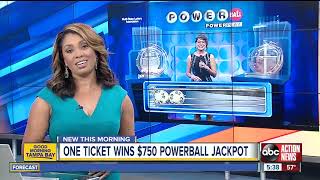 14 Powerball tickets sold in Florida worth 50K to 150K [upl. by Akemhs295]