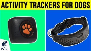 8 Best Activity Trackers For Dogs 2019 [upl. by O'Dell]