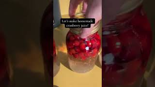 Homemade cranberry juice homemade diy cranberryjuice [upl. by Rozamond]