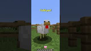 POV Youre a Chicken in Minecraft [upl. by Shieh144]