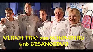 STERNPOLKA ULRICH TRIO EMNÖSZ GALA 2024 1 16 [upl. by Bessie397]