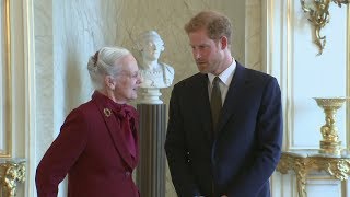 Prince Harry meets the Queen of Denmark on first official visit [upl. by Grimbald]