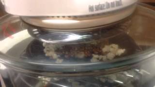 Popping corn in a NuWave type counter top oven [upl. by Sutsugua18]