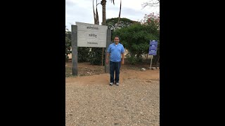 The Hoysaleswara Temple of Halebidu with an English Guide Karnataka India [upl. by Llerraj]