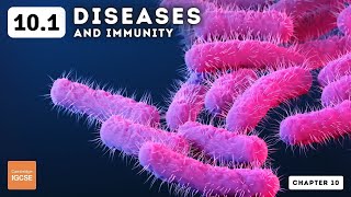 IGCSE Biology  Diseases and immunity 101 [upl. by Brout435]