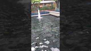 WISHING FOUNTAIN shortvideo shorts trending viralvideo viralshorts [upl. by Marty]