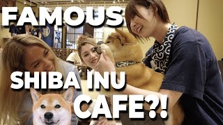 WE VISIT THE FAMOUS SHIBA INU CAFE IN JAPAN Vlog 14 [upl. by Innes]