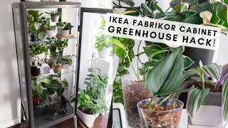 Ikea Greenhouse Glass Cabinet Tour and Tips Hacking the Fabrikor Model Cabinet [upl. by Ajram]