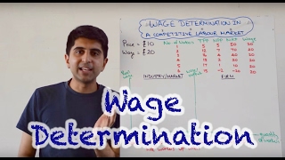 Wage Determination in a Perfectly Competitive Labour Market [upl. by Sergei]