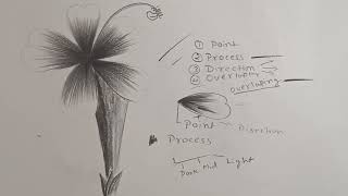 Basic of pencil shading  Day 1  pencil shading tutorial  classes for beginners [upl. by Pattison]