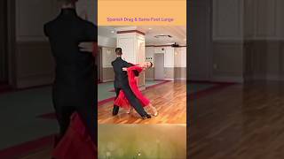 Tango Advanced Level 2 by MirkoampAlessia [upl. by Dearr]