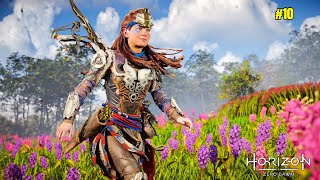 Finally Meeting Hades  Horizon Zero Dawn Gameplay 10 [upl. by Borszcz]