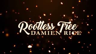 Damien Rice  Rootless Tree with intro story Florianópolis [upl. by Duyne]