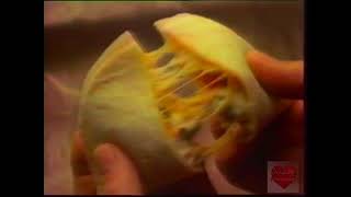 Taco Bell  Television Commercial  1988  Meximelt [upl. by Carola]