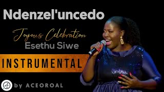 Ndenzele uncedo  Esethu Siwe  INSTRUMENTAL Covered by ACEOROAL [upl. by Treulich]