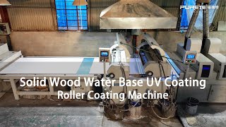 Solid WoodEcological Board Water Base UV Painting for CabinetFurnituremachine industry wood [upl. by Calondra40]