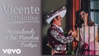 Vicente Fernández  Contigo Cover Audio [upl. by Rukna678]