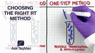 What is the Right RT Method for Your Experiment Ask TaqMan 37 [upl. by Eelahs759]