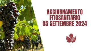 aggiornamento fitosanitario primi settembre [upl. by Ellinnet]