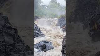 Huge Flash Flood in Maui [upl. by Kesley]