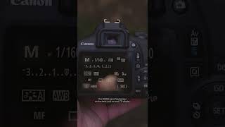 What Is the Screen on the Canon 2000D Like [upl. by Erroll]