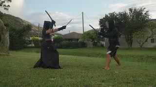 Nitoryu Katana and Wakizashi vs Escrima Dual Sticks [upl. by Jessey]