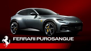 Introducing the new Ferrari Purosangue [upl. by Arrej]