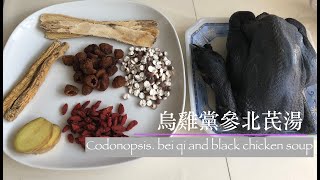 滋補湯水：烏雞黨參湯Codonopsis Bei qi and Black Chicken Soup [upl. by Upshaw]