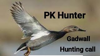 Gadwall Hunting call [upl. by Young866]