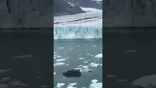 Living off grid in Alaska pt2 fly with me over the Harding Ice Fields Kenai Fjords National Park [upl. by Honan977]